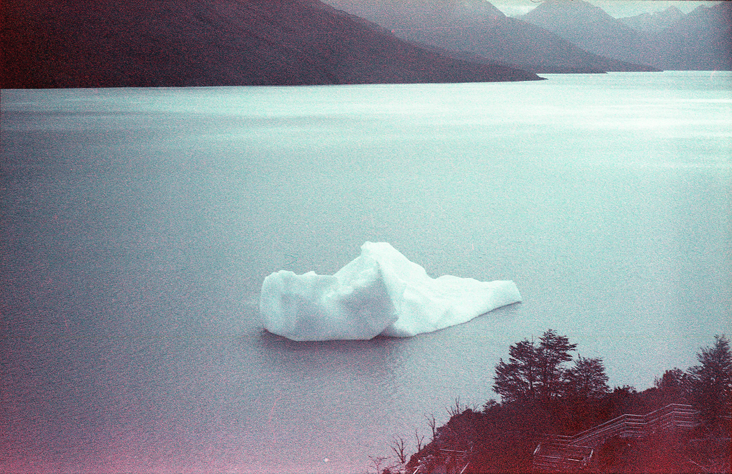 Iceberg 