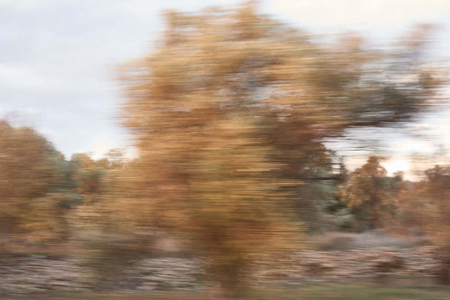 Camino a Volissos, Chios