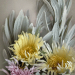 Costeras