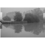 Niebla