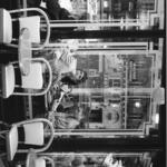Cafe de Flore