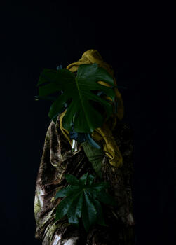 De la serie “Sin Identidad II”