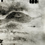 White Serpent