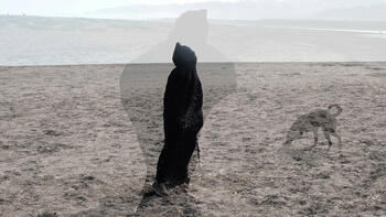 Disappearance IIe (Cocoon)