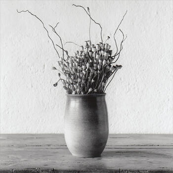 Jarrón y flores secas