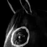 Caballo con círculo (FGA00001)