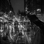 Gris 1