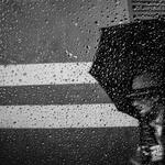 Gris 4