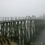Bridge. Shadows of Maine series