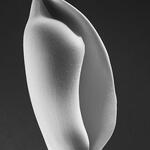 Torso Monstera