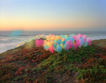 Tulle no. 5