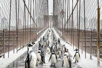 Brooklyn Bridge