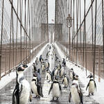 Brooklyn Bridge