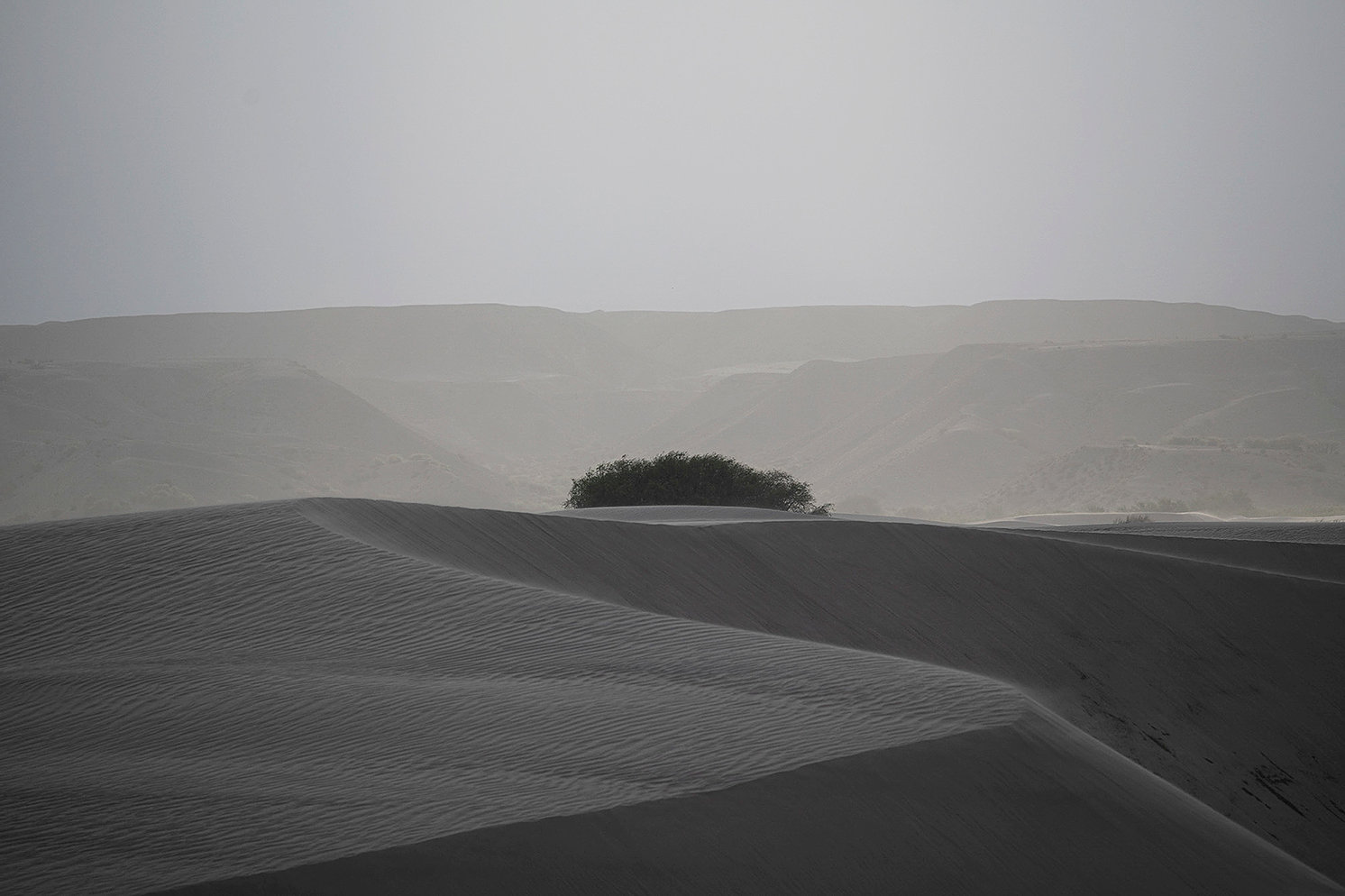 Dunas de Taton. Serie Catamarca  