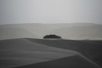 Dunas de Taton. Serie Catamarca  