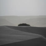 Dunas de Taton. Serie Catamarca  