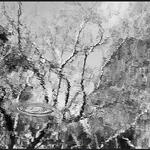 Serie Reflejos III