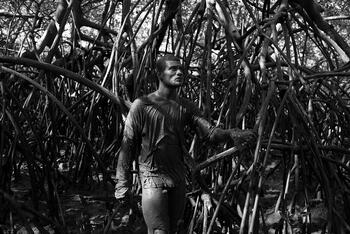 Retrato do Mangueza