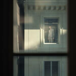 Window Alex