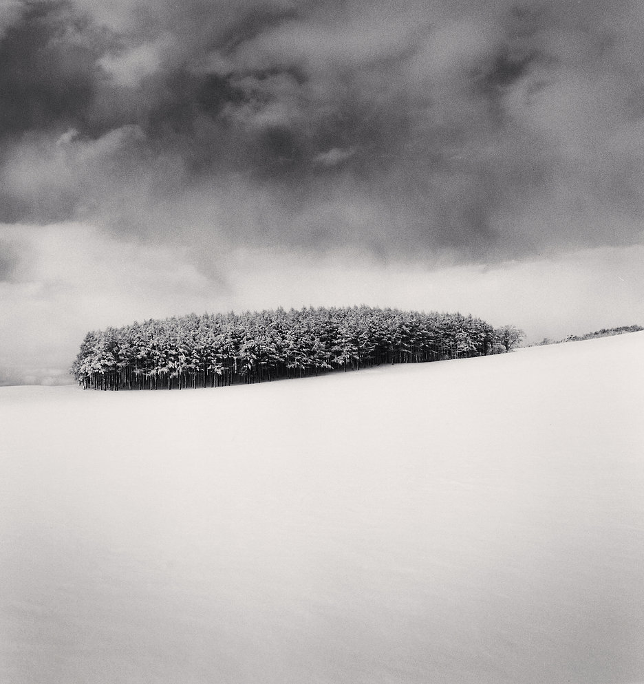 White Copse, Study 2, Wakkanai, Hokkaido, Japan