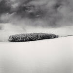 White Copse, Study 2, Wakkanai, Hokkaido, Japan