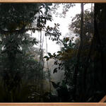 ROOTS TO BRANCHES #9