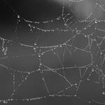 La creación de la Araña