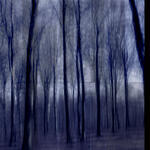 Blue Night