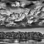 Amazônia