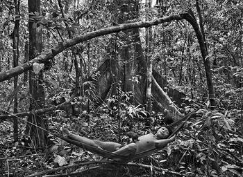 Korubo, Amazônia