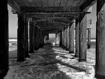 Muelle