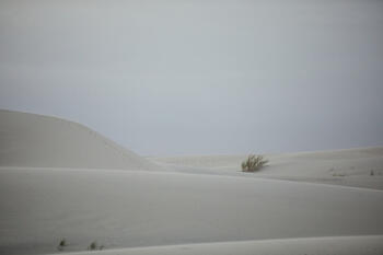 Arena en el Desierto