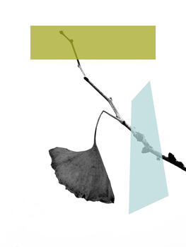 Notas de otoño II
