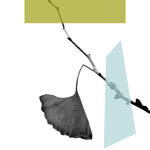 Notas de otoño II