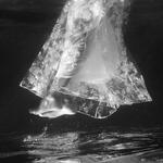 Perfume sin fin