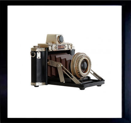 camara-web